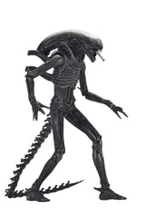 Alien: Romulus Action Figure Ultimate Xenomorph XX121 18 cm 0634482517420