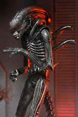 Alien: Romulus Action Figure Ultimate Xenomorph XX121 18 cm 0634482517420