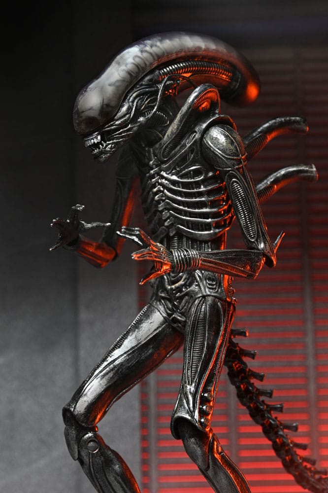 Alien: Romulus Action Figure Ultimate Xenomorph XX121 18 cm 0634482517420