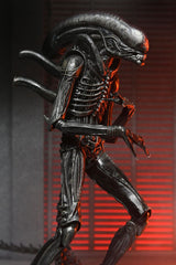 Alien: Romulus Action Figure Ultimate Xenomorph XX121 18 cm 0634482517420