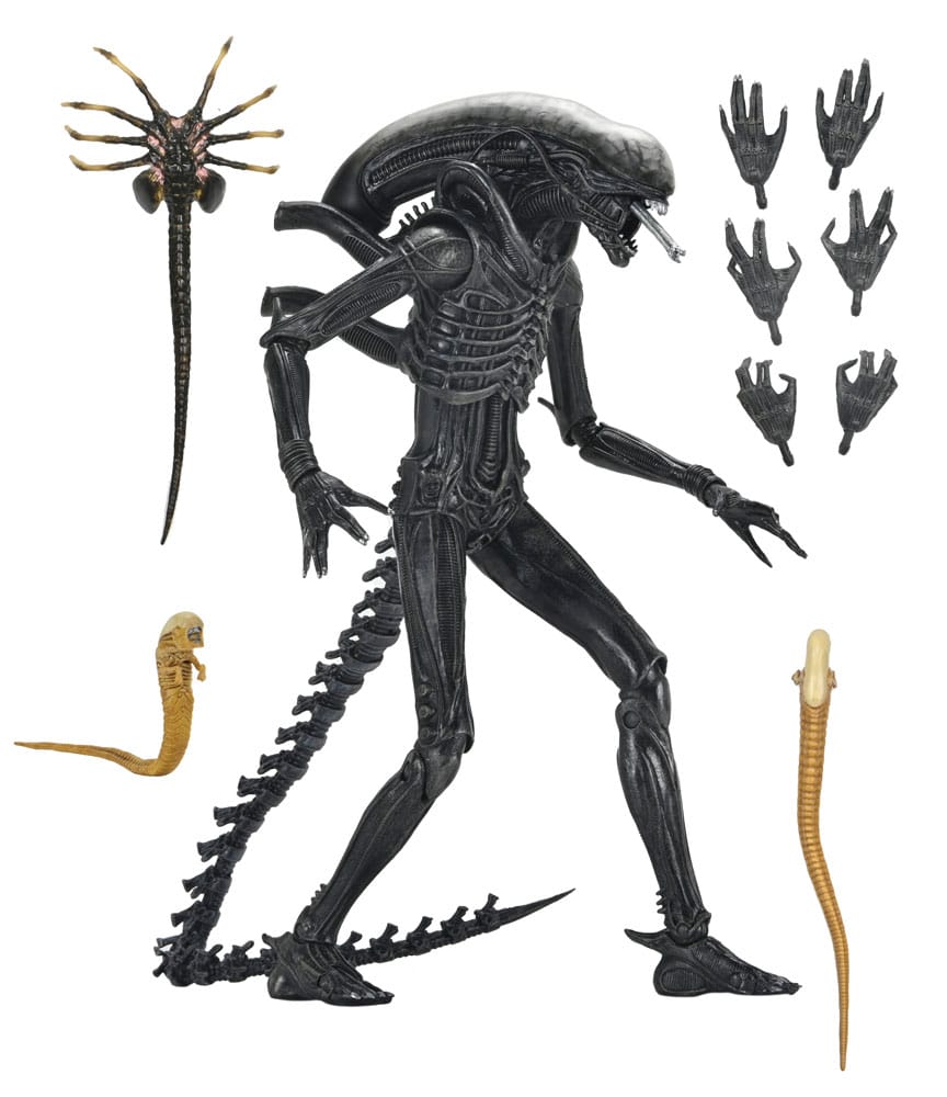 Alien: Romulus Action Figure Ultimate Xenomorph XX121 18 cm 0634482517420