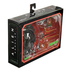 Alien: Romulus Accessory Pack for Action Figures 0634482517451