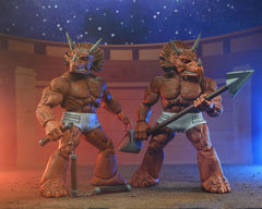 Teenage Mutant Ninja Turtles (Mirage Comics) Action Figure Triceraton Gladiator 21 cm 0634482544365