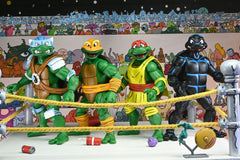 Teenage Mutant Ninja Turtles (Archie Comics) Action Figures 4-Pack Stump Wrestling Turtles 18 cm 0634482544693