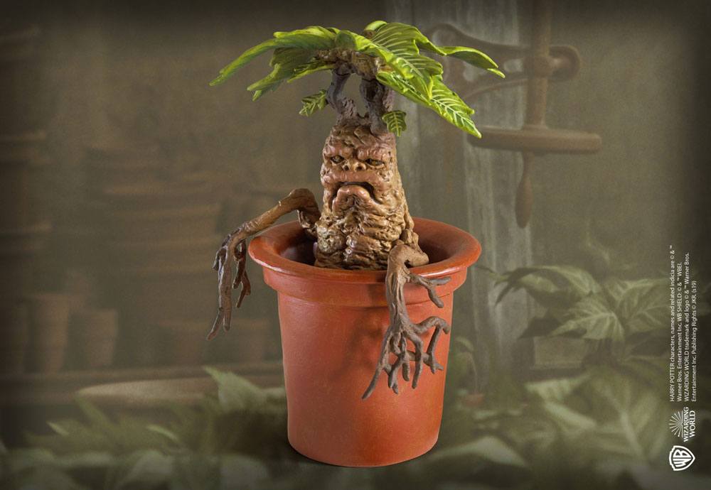 Harry Potter Magical Creatures Statue Mandrake 13 cm 0849421005399