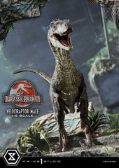 Jurassic Park III Legacy Museum Collection Statue 1/6 Velociraptor Male 40 cm 4580708048857