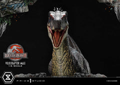 Jurassic Park III Legacy Museum Collection Statue 1/6 Velociraptor Male 40 cm 4580708048857