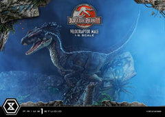 Jurassic Park III Legacy Museum Collection St 4580708049014