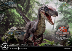 Jurassic Park III Legacy Museum Collection St 4580708049014