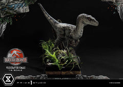 Jurassic Park III Legacy Museum Collection Statue 1/6 Velociraptor Female Bonus Version 44 cm 4580708049038