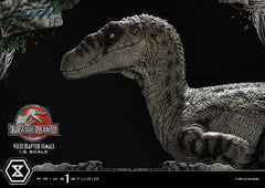 Jurassic Park III Legacy Museum Collection Statue 1/6 Velociraptor Female Bonus Version 44 cm 4580708049038