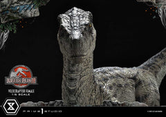 Jurassic Park III Legacy Museum Collection Statue 1/6 Velociraptor Female Bonus Version 44 cm 4580708049038