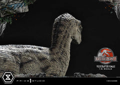 Jurassic Park III Legacy Museum Collection Statue 1/6 Velociraptor Female Bonus Version 44 cm 4580708049038