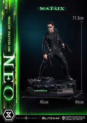 Matrix Museum Masterline Statue 1/3 Neo 71 cm 4582647120151