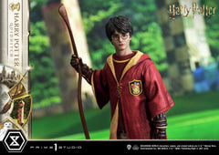 Harry Potter Prime Collectibles Statue 1/6 Harry Potter Quidditch Edition 31 cm 4580708048932