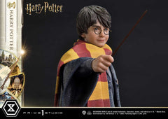 Harry Potter Prime Collectibles Statue 1/6 Harry Potter 28 cm 4580708049069