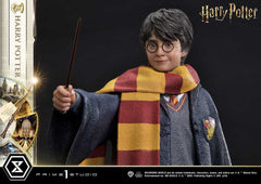 Harry Potter Prime Collectibles Statue 1/6 Harry Potter 28 cm 4580708049069