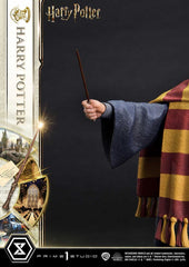 Harry Potter Prime Collectibles Statue 1/6 Harry Potter 28 cm 4580708049069