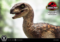 Jurassic Park Prime Collectibles Statue 1/10 Velociraptor Open Mouth 19 cm 4580708049328