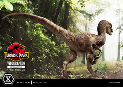 Jurassic Park Prime Collectibles Statue 1/10 Velociraptor Open Mouth 19 cm 4580708049328