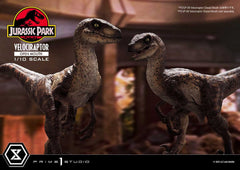 Jurassic Park Prime Collectibles Statue 1/10 Velociraptor Open Mouth 19 cm 4580708049328