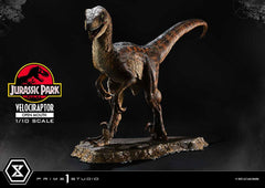 Jurassic Park Prime Collectibles Statue 1/10 Velociraptor Open Mouth 19 cm 4580708049328