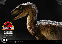 Jurassic Park Prime Collectibles Statue 1/10 Velociraptor Open Mouth 19 cm 4580708049328