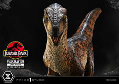 Jurassic Park Prime Collectibles Statue 1/10 Velociraptor Open Mouth 19 cm 4580708049328