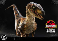 Jurassic Park Prime Collectibles Statue 1/10 Velociraptor Open Mouth 19 cm 4580708049328