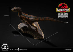 Jurassic Park Prime Collectibles Statue 1/10 Velociraptor Closed Mouth 19 cm 4582647120038