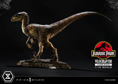 Jurassic Park Prime Collectibles Statue 1/10 Velociraptor Closed Mouth 19 cm 4582647120038