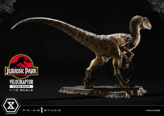 Jurassic Park Prime Collectibles Statue 1/10 Velociraptor Closed Mouth 19 cm 4582647120038