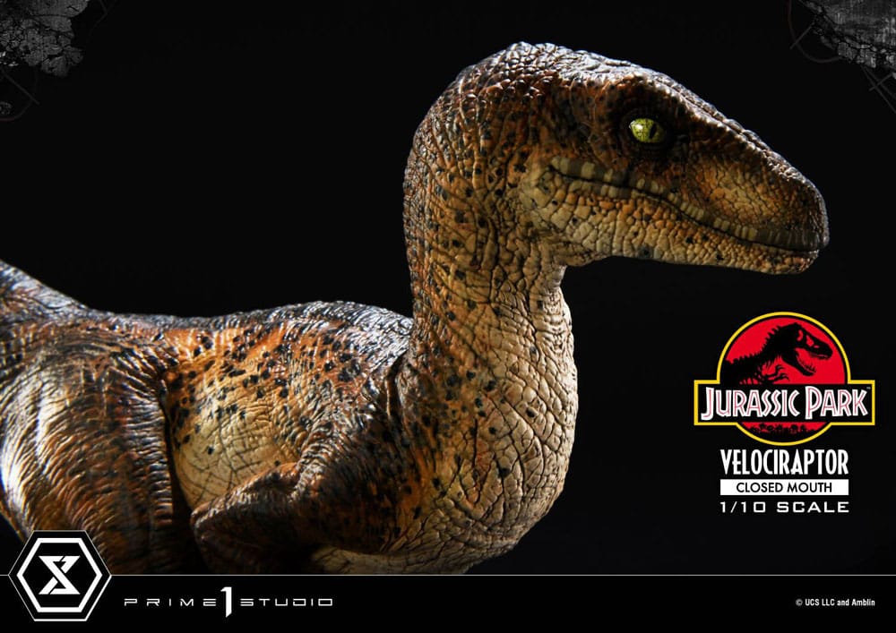 Jurassic Park Prime Collectibles Statue 1/10 Velociraptor Closed Mouth 19 cm 4582647120038