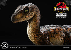 Jurassic Park Prime Collectibles Statue 1/10 Velociraptor Closed Mouth 19 cm 4582647120038