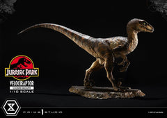 Jurassic Park Prime Collectibles Statue 1/10 Velociraptor Closed Mouth 19 cm 4582647120038