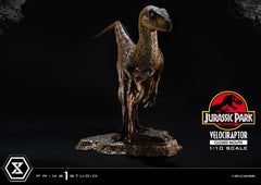 Jurassic Park Prime Collectibles Statue 1/10 Velociraptor Closed Mouth 19 cm 4582647120038