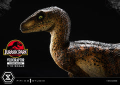 Jurassic Park Prime Collectibles Statue 1/10 Velociraptor Closed Mouth 19 cm 4582647120038