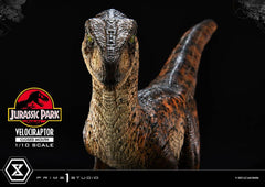 Jurassic Park Prime Collectibles Statue 1/10 Velociraptor Closed Mouth 19 cm 4582647120038