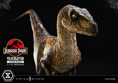 Jurassic Park Prime Collectibles Statue 1/10 Velociraptor Closed Mouth 19 cm 4582647120038