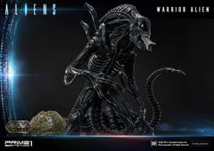 Aliens Premium Masterline Series Statue Warrior Alien Deluxe Bonus Version 67 cm 4582535943855