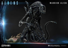 Aliens Premium Masterline Series Statue Warrior Alien Deluxe Bonus Version 67 cm 4582535943855