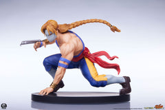 Street Fighter Street Jam Statuen 1/10 Ken & Vega Set 0783214378911