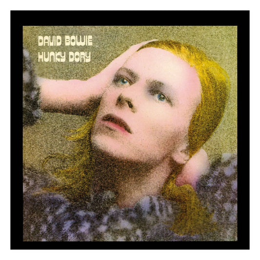 David Bowie Rock Saws Jigsaw Puzzle Hunky Dory (500 pieces) 0803343257496