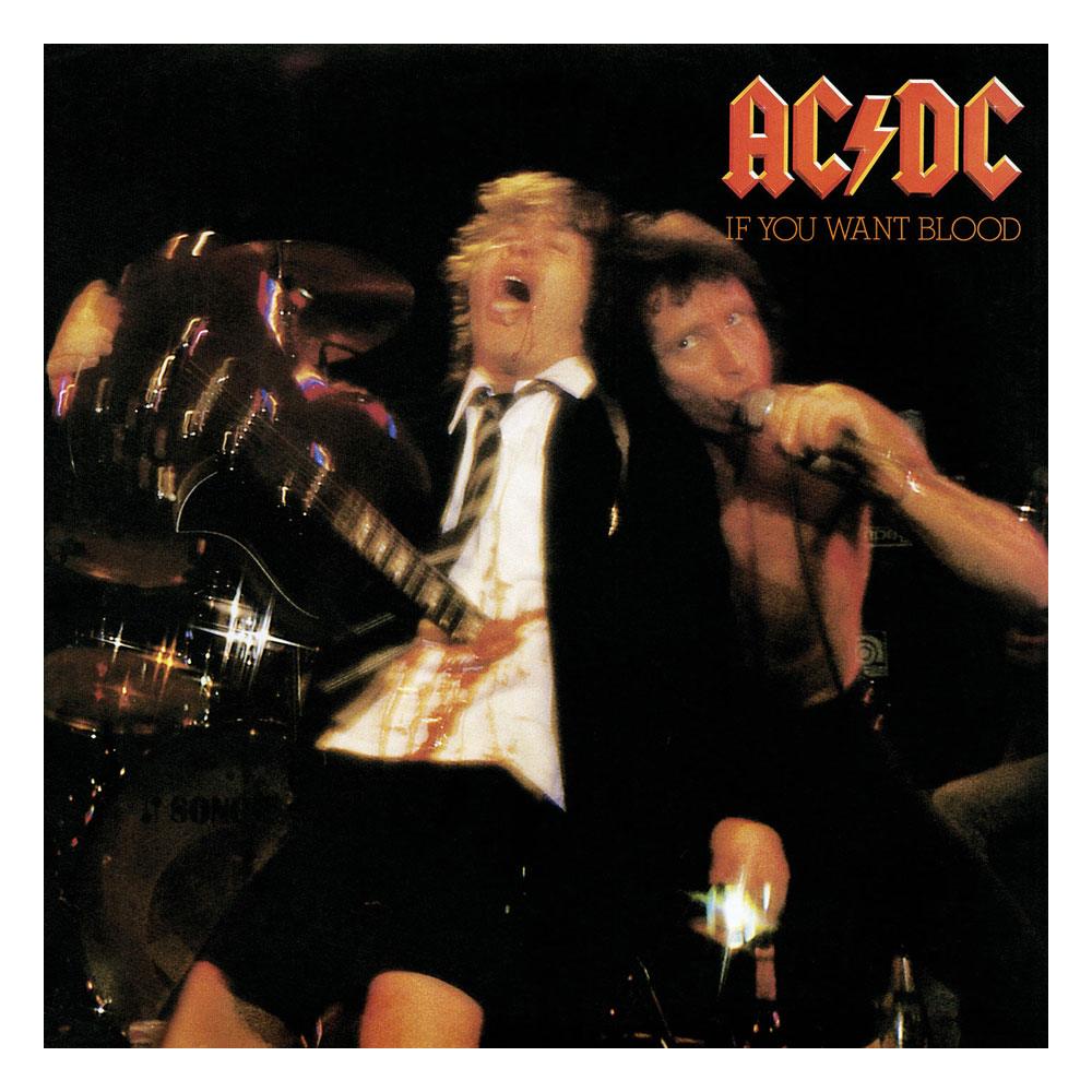 AC/DC Rock Saws Jigsaw Puzzle If You Want Blood (500 pieces) 0803343257564