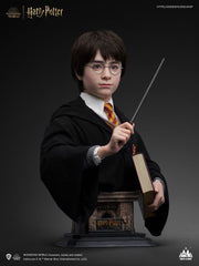 Harry Potter Bust 1/1 Harry 76 cm 6972662530994