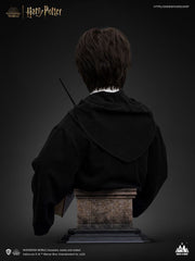 Harry Potter Bust 1/1 Harry 76 cm 6972662530994