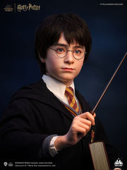 Harry Potter Bust 1/1 Harry 76 cm 6972662530994