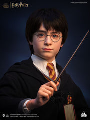 Harry Potter Bust 1/1 Harry 76 cm 6972662530994