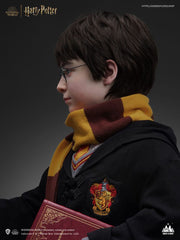 Harry Potter Bust 1/1 Harry 76 cm 6972662530994