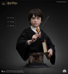 Harry Potter Bust 1/1 Harry 76 cm 6972662530994